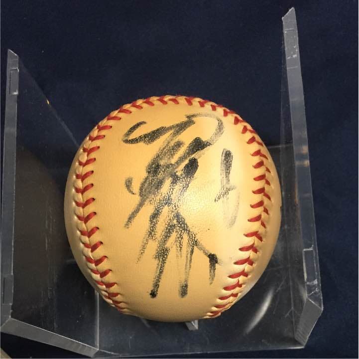 金本知憲直筆サインボール