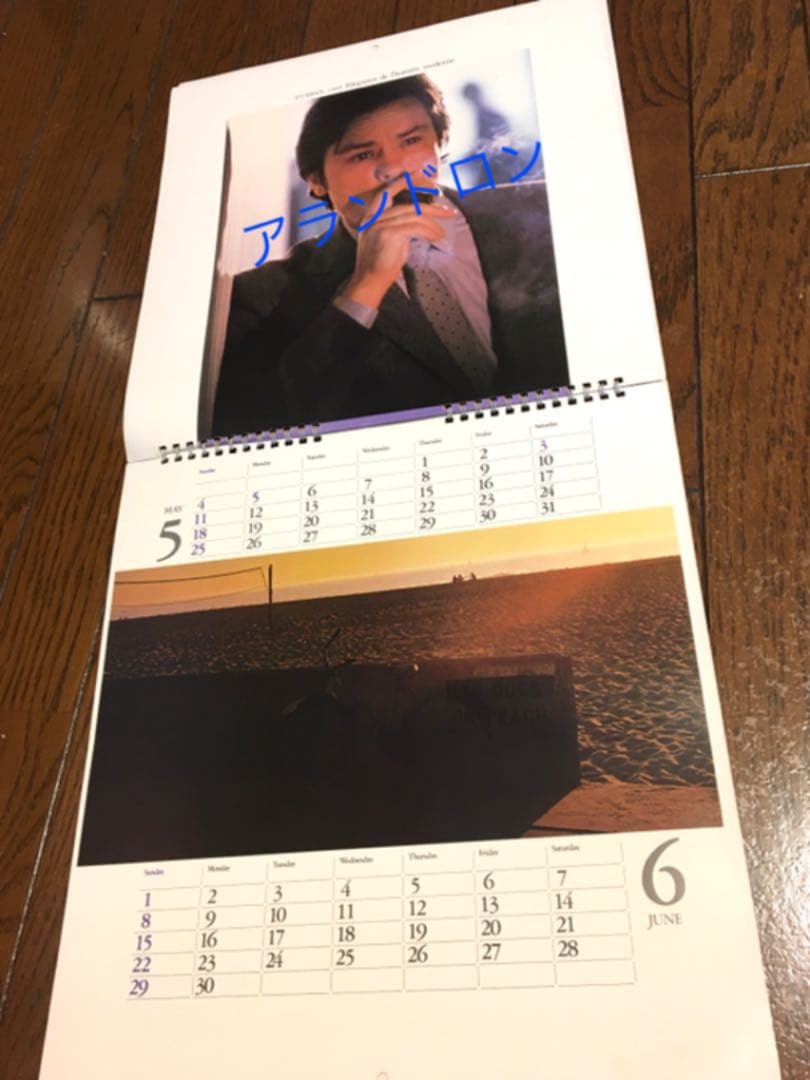 【貴重】アランドロン ダーバンカレンダー　1980