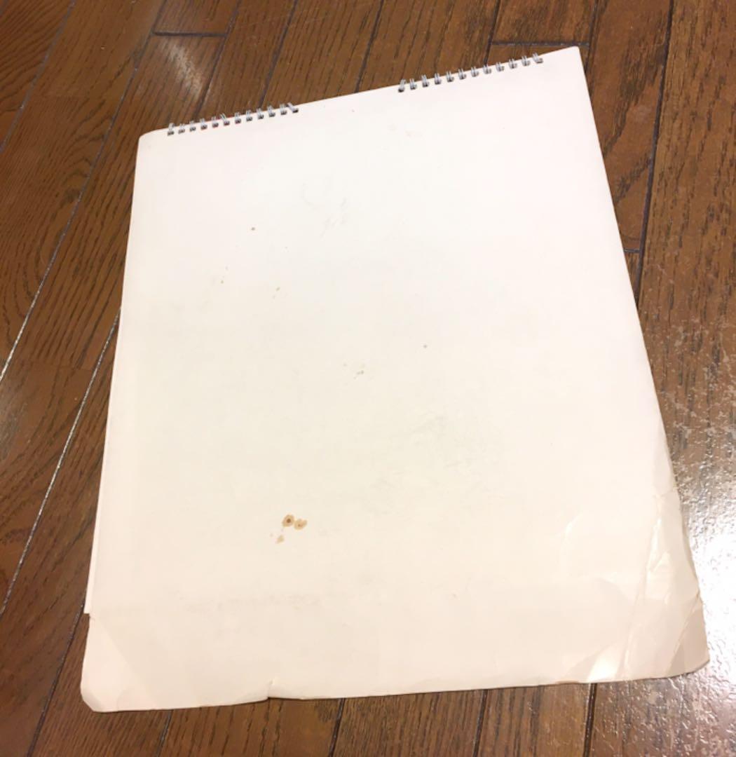 【貴重】アランドロン ダーバンカレンダー　1980