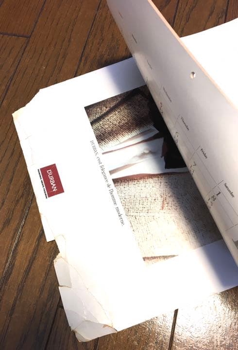 【貴重】アランドロン ダーバンカレンダー　1980