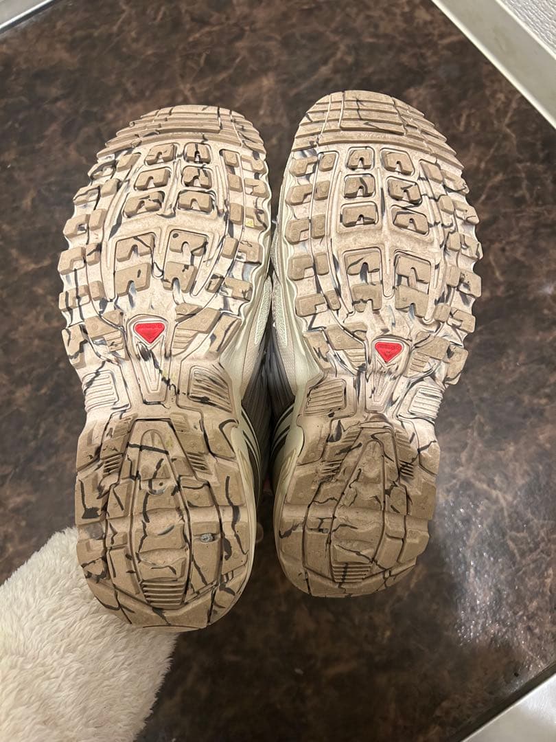 靴 SALOMON ACS PRO DESERT