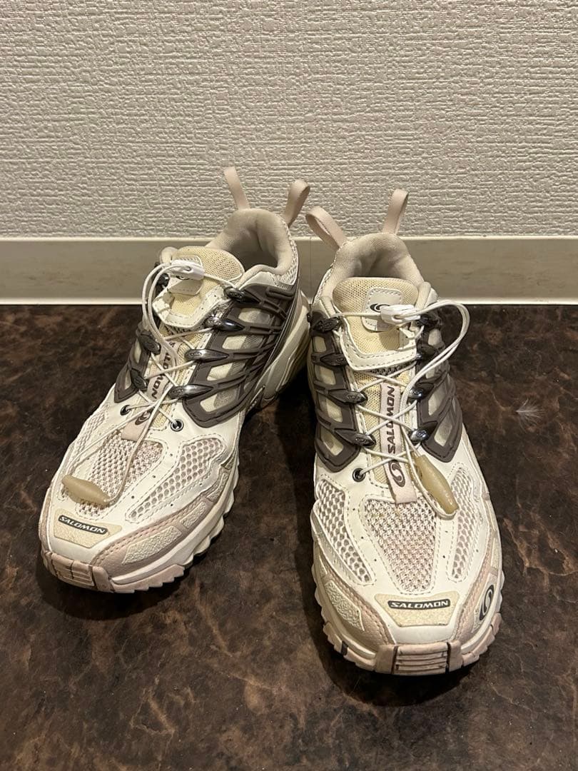 靴 SALOMON ACS PRO DESERT