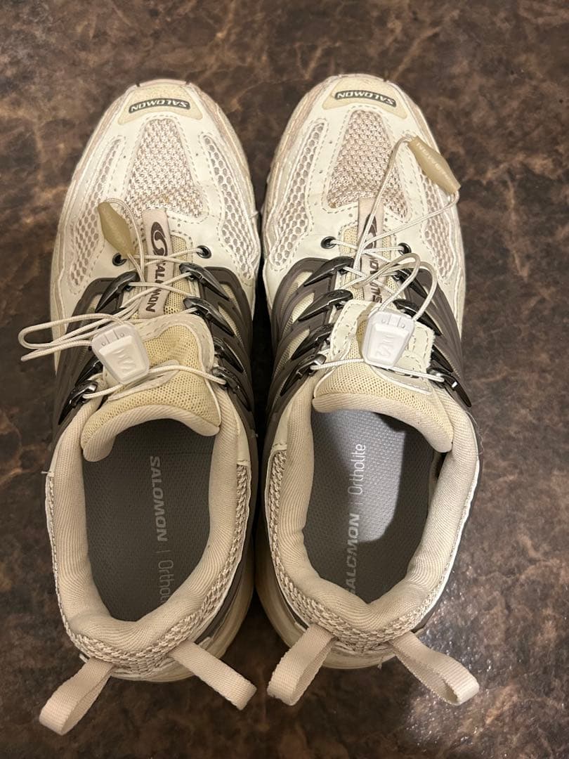 靴 SALOMON ACS PRO DESERT