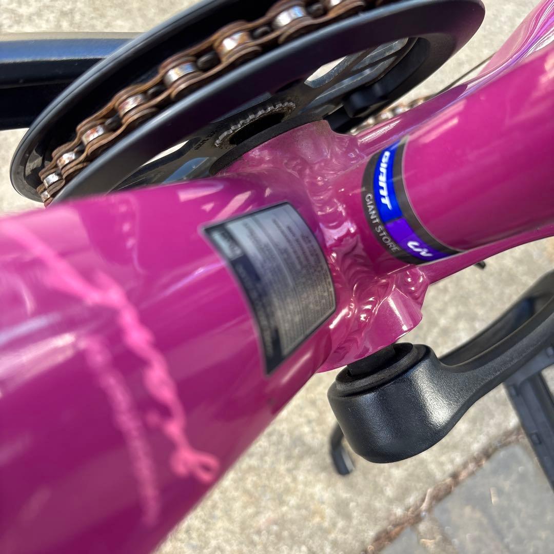 giant Liv Alight 子供用自転車 クロスバイク　ジャイアント