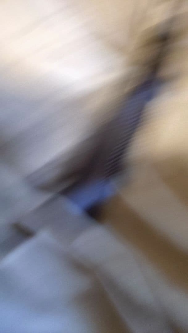 バヨネット 銃剣