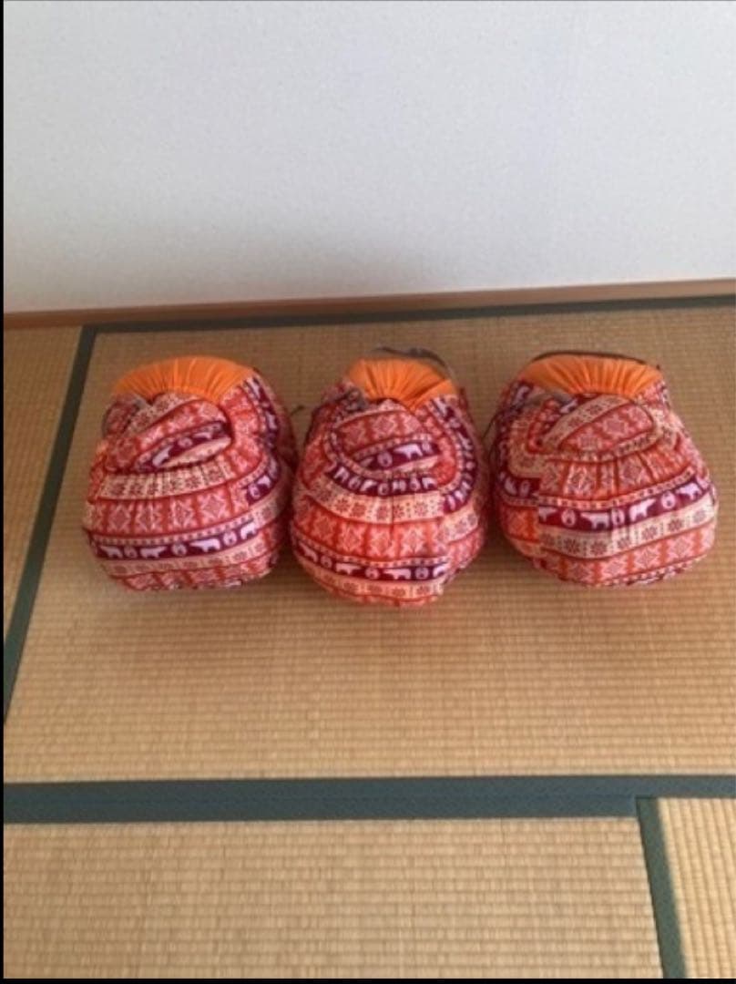 てん　Colemanキッズ用寝袋　2個