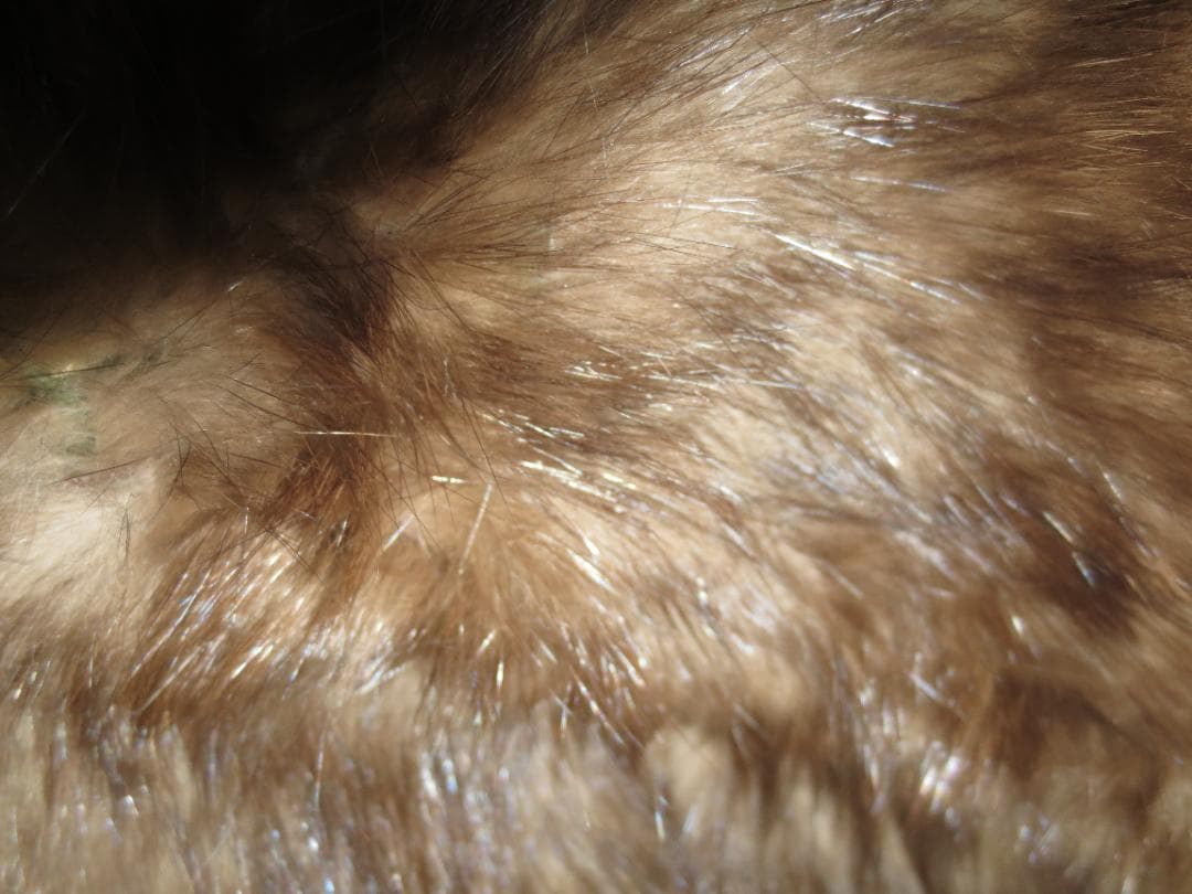 ロシアンアンセーブル ファーショール ストール