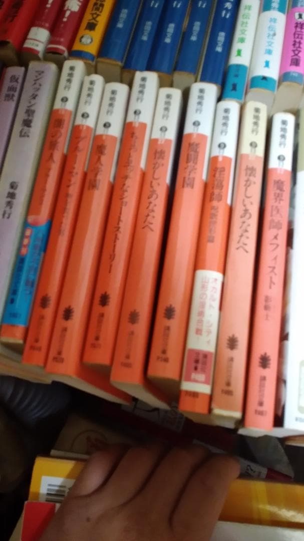 期間限定お値下げ！早い者勝ち！　菊池秀行さん　１１４冊セット