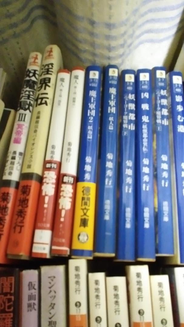 期間限定お値下げ！早い者勝ち！　菊池秀行さん　１１４冊セット