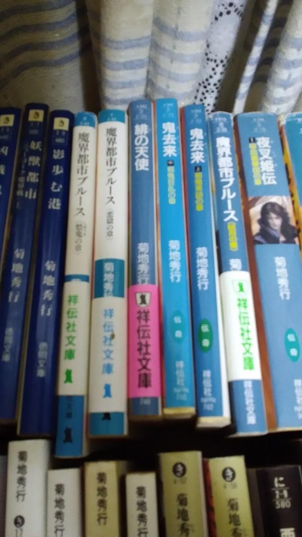 期間限定お値下げ！早い者勝ち！　菊池秀行さん　１１４冊セット