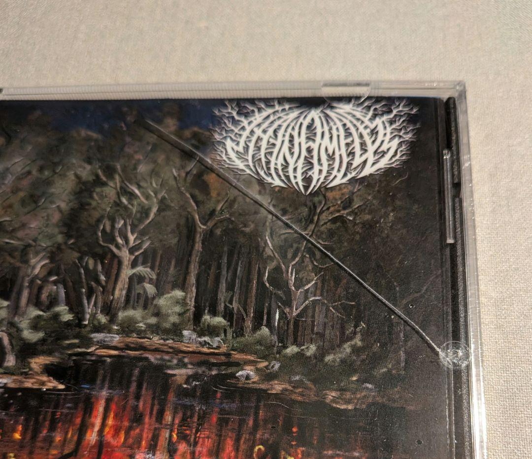 洋楽 Despite Exile / Where Hope Goes To Die