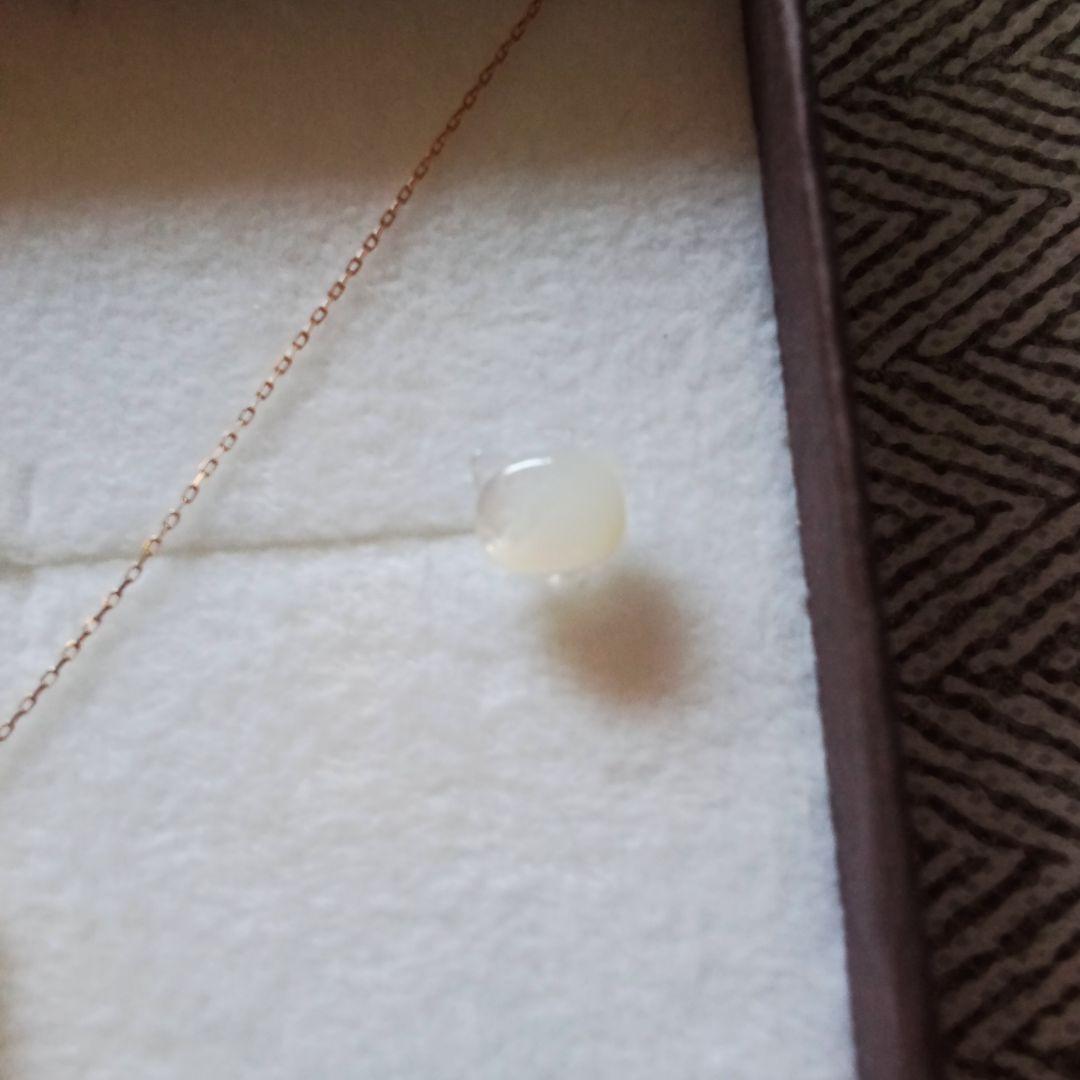 k10　猫　シェル　ネックレス　ピアス　未使用　バラ売り不可