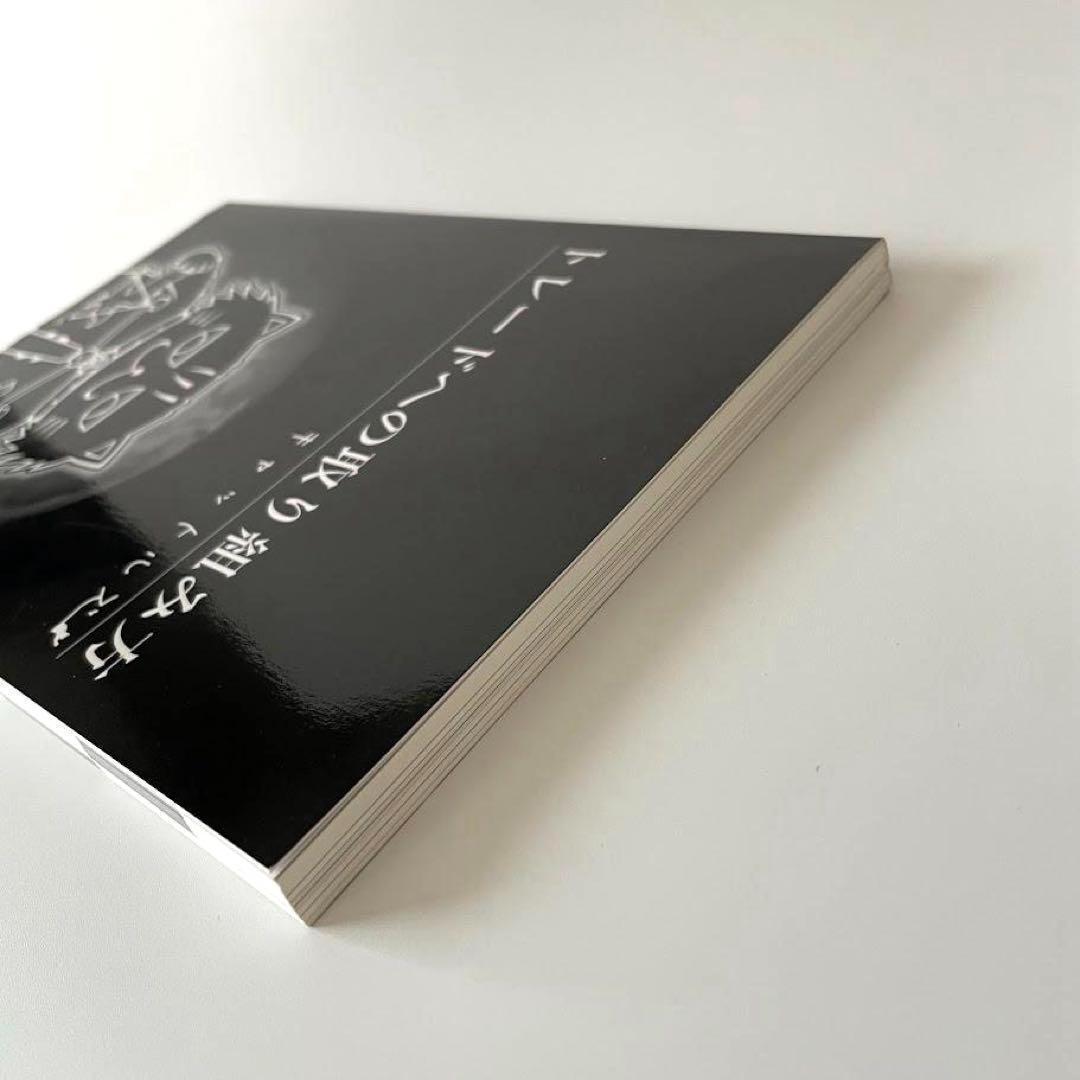 レア！キャットルズ　トレードへの取り組み方　黒猫アイランド　FX本　株　投資