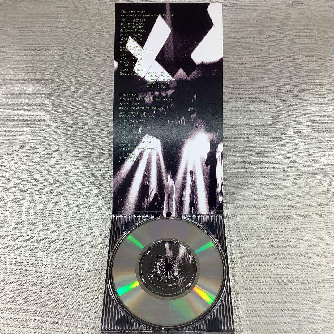 CD　MY LITTLE LOVER/イエス～フリー・フラワー　　　DBCD19