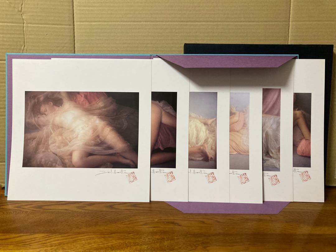 デヴィッド・ハミルトン PORTFOLIO / MONOCHROME 2冊セット