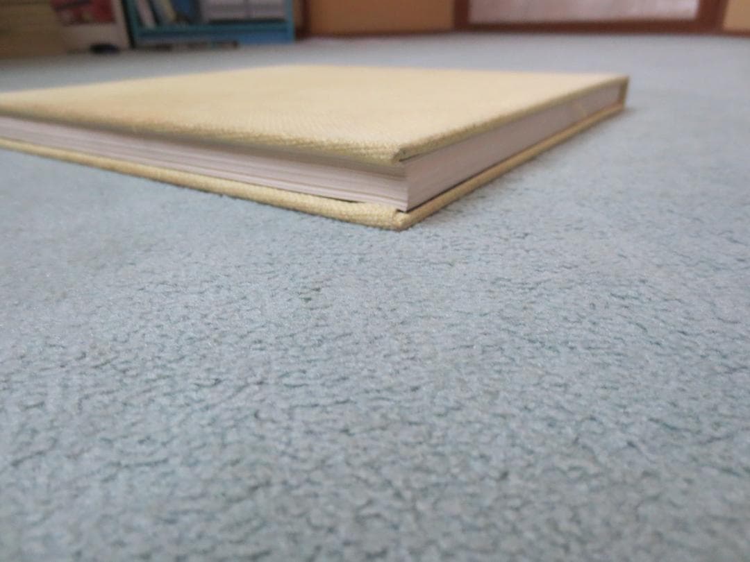 篠原一男　16の住宅と建築論