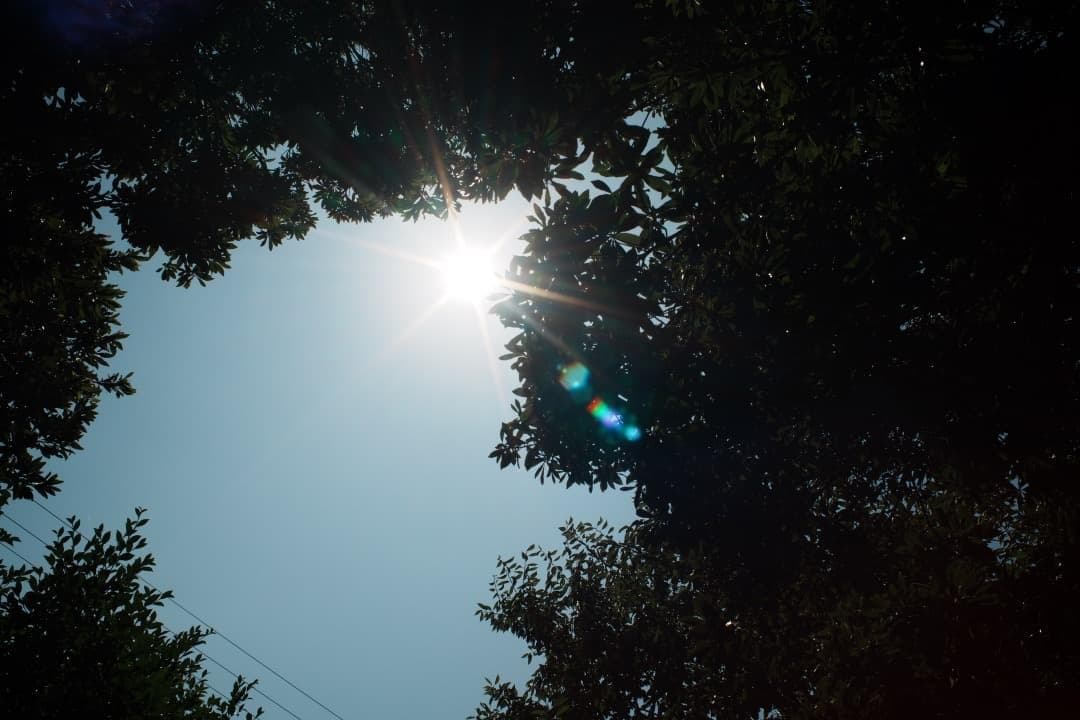 Rikenon P 28mm F2.8｜自然な色とやわらかい描写 713