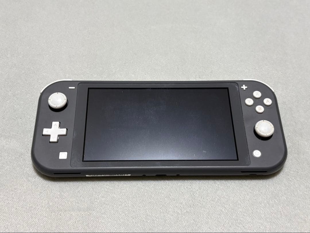 ■ ニンテンドー Nintendo Switch Lite 本体　ジャンク
