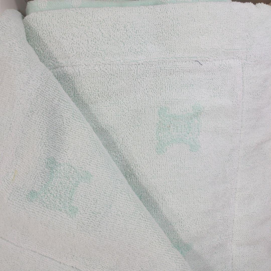 m*m様 CELINE タオルケット 2枚セット 140cm×200cm 西川産