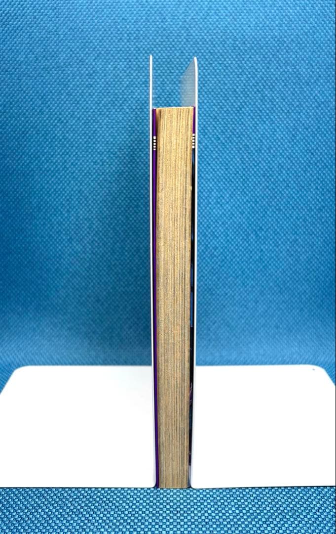 一刀流抜殺剣　（全巻）