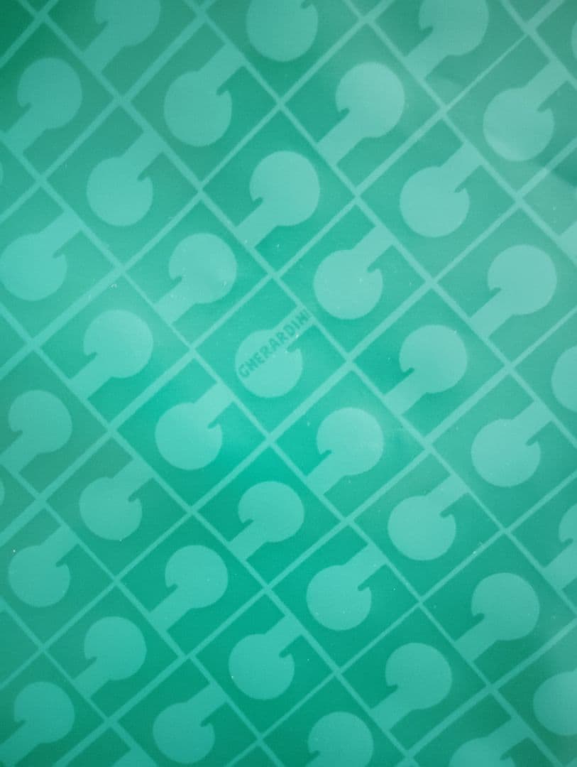 【未使用】　ゲラルディーニ　GHERARDINI ソフティーバッグ