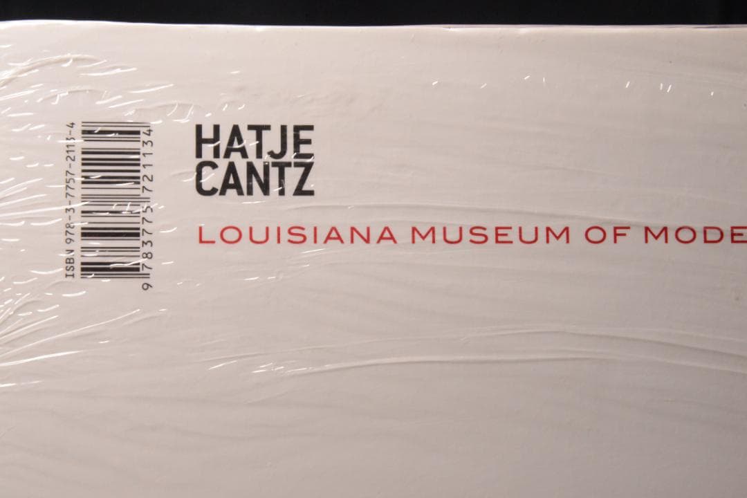 【Richard Avedon: Photographs ★大幅に値下げしました