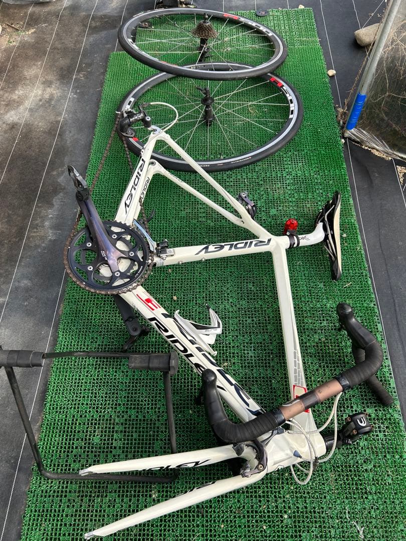 リドレー RIDLEY フェニックス