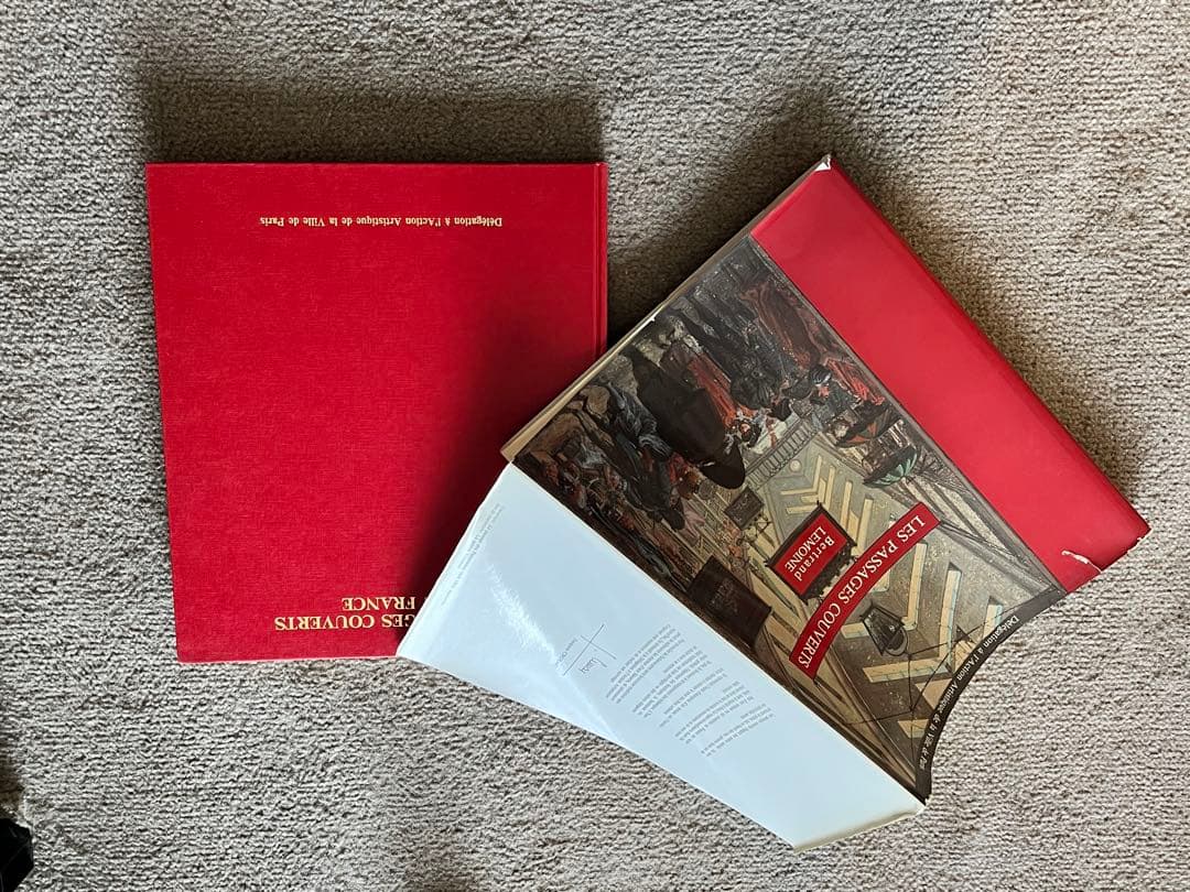 アート・デザイン・音楽 LES PASSAGES COUVERTS Bertrand Lemoine