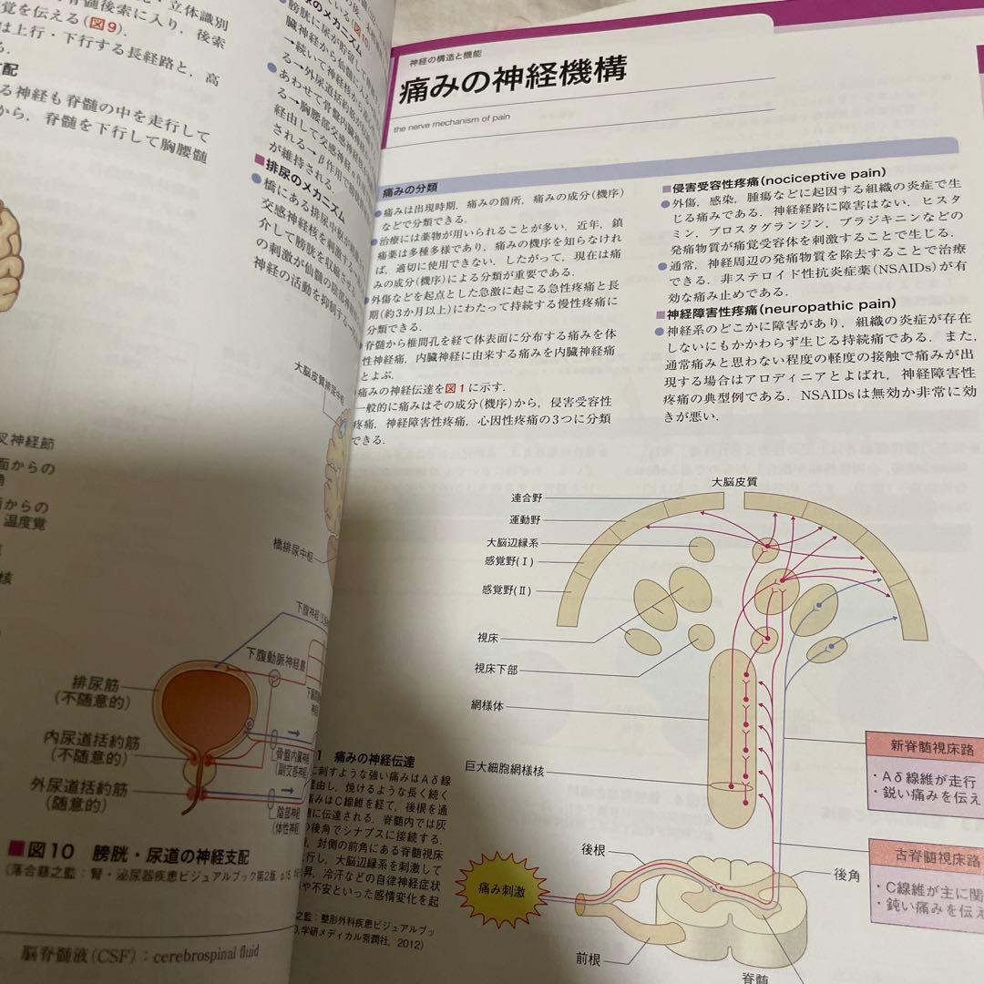 整形外科看護　関連書10冊セット