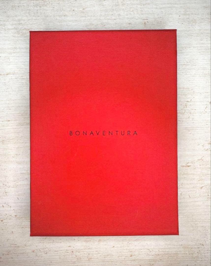 ボナベンチュラ　iPhoneケース　16pro