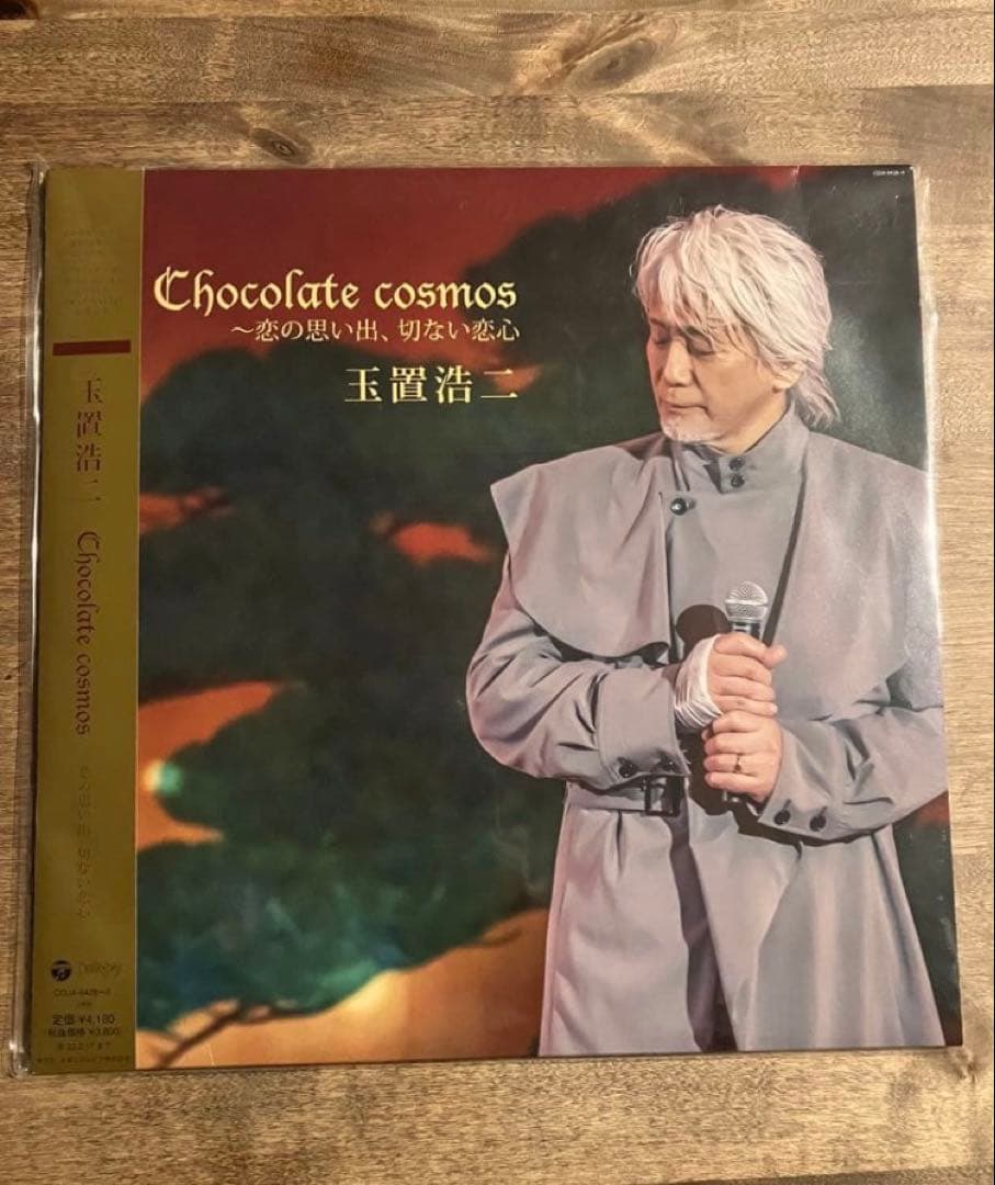 玉置浩二　安全地帯　レコード　まとめ売り