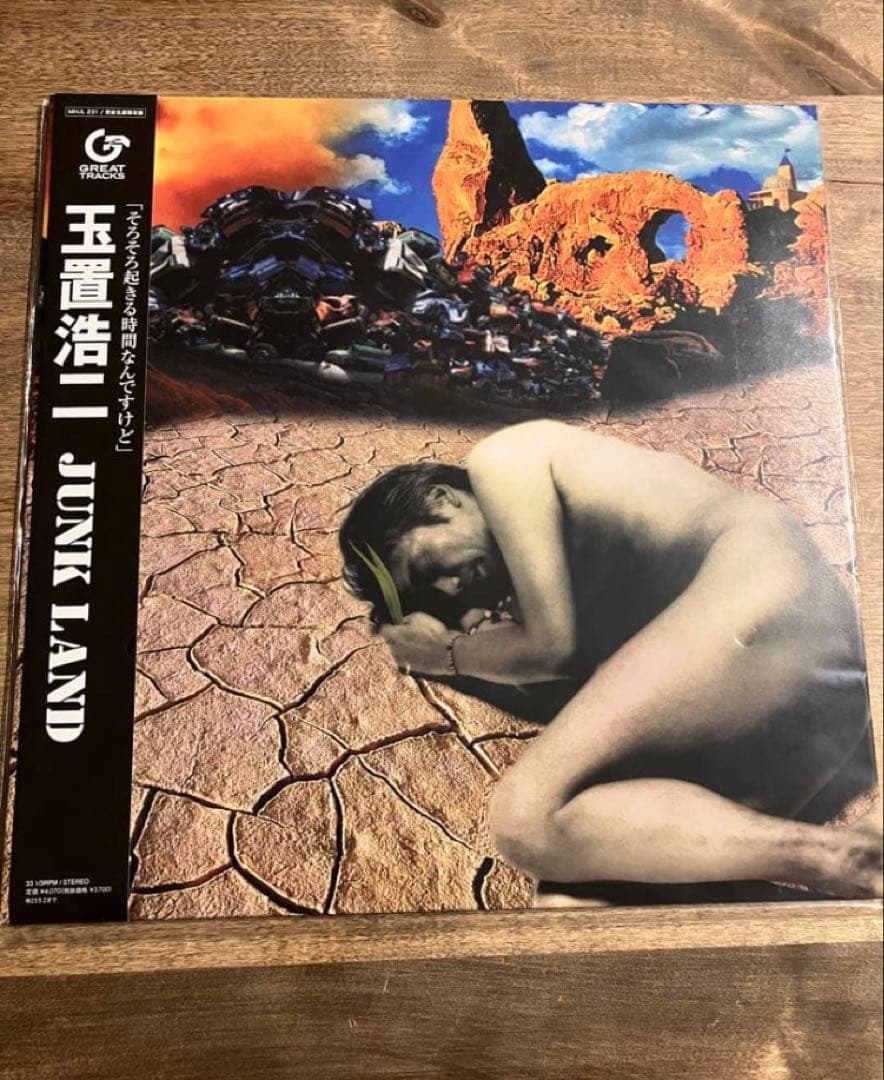 玉置浩二　安全地帯　レコード　まとめ売り