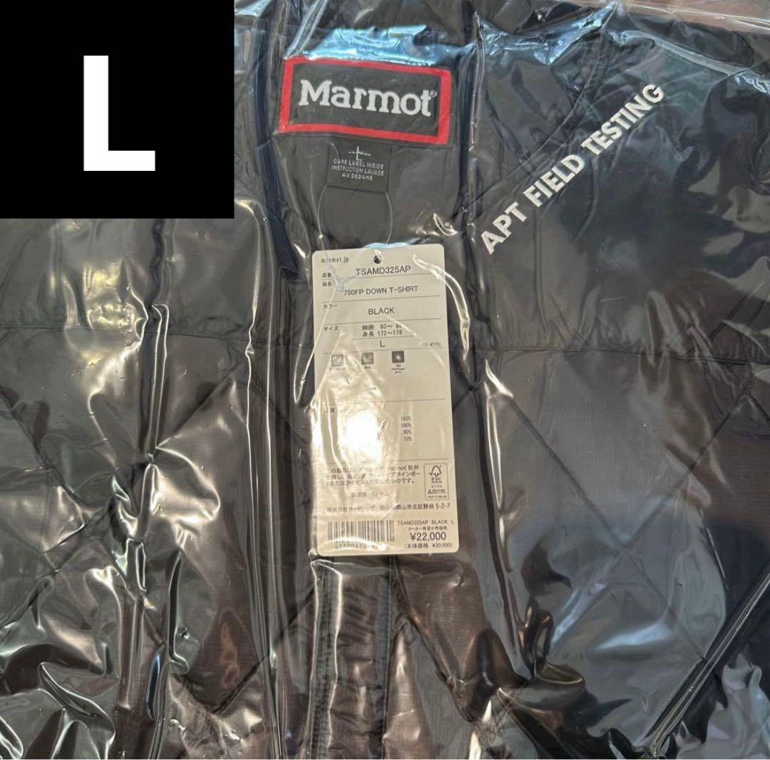 L STABRIDGE × Marmot DOWN T-SHIRT Black
