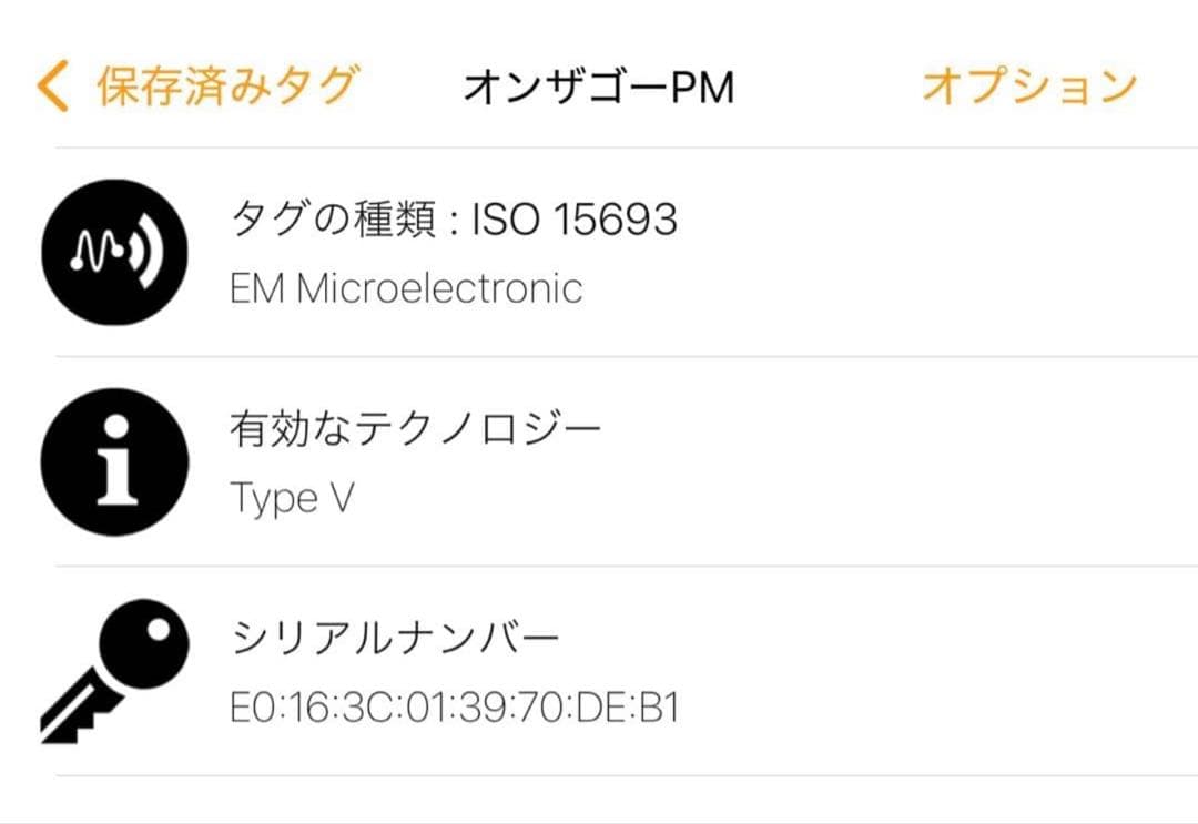 LOUIS VUITTON オンザゴーPM‼️美品‼️本日セール‼️