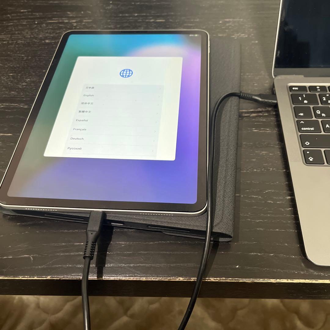 iPad Pro 11インチ(第一世代)256GB シルバー　ジャンク