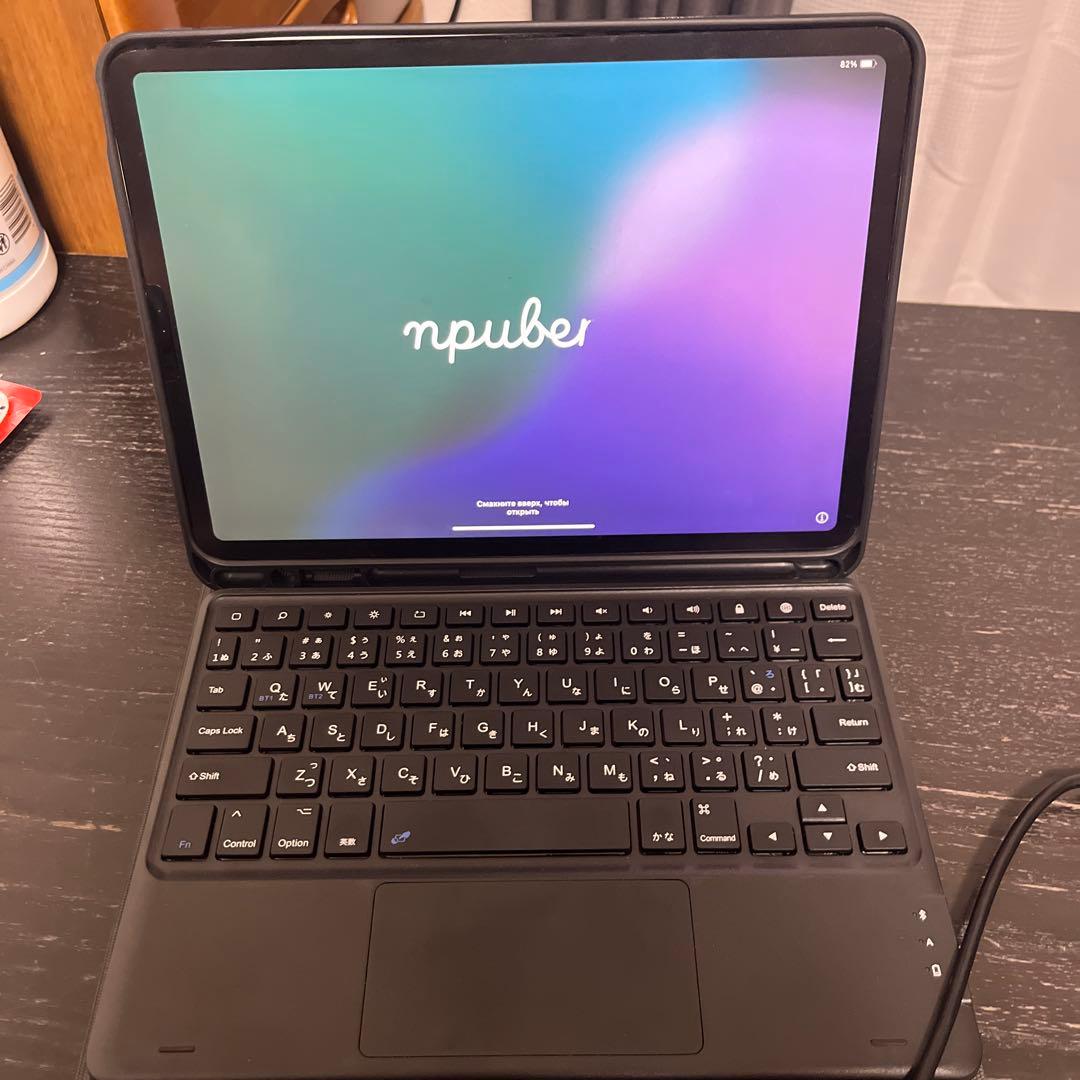 iPad Pro 11インチ(第一世代)256GB シルバー　ジャンク