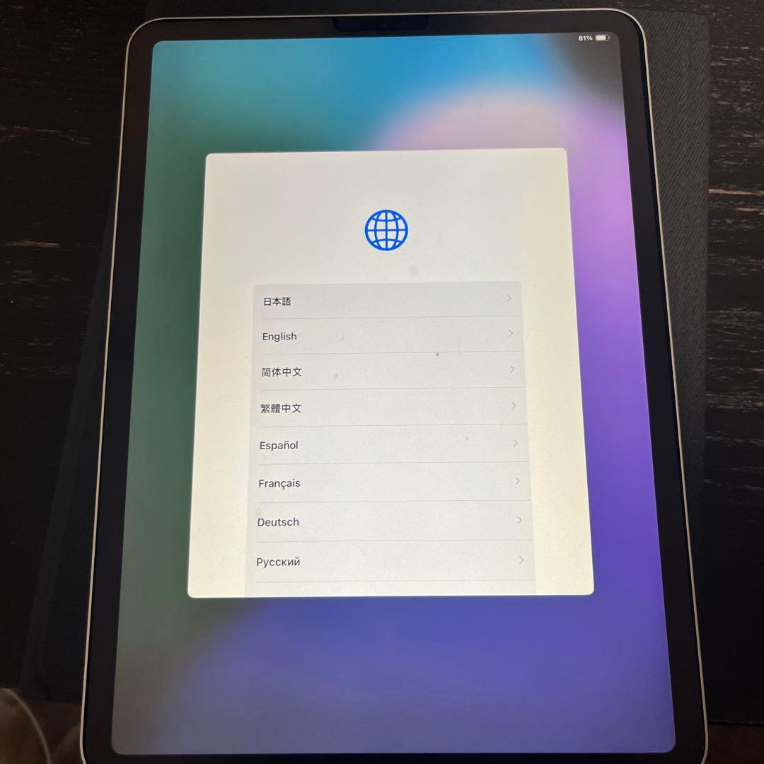 iPad Pro 11インチ(第一世代)256GB シルバー　ジャンク