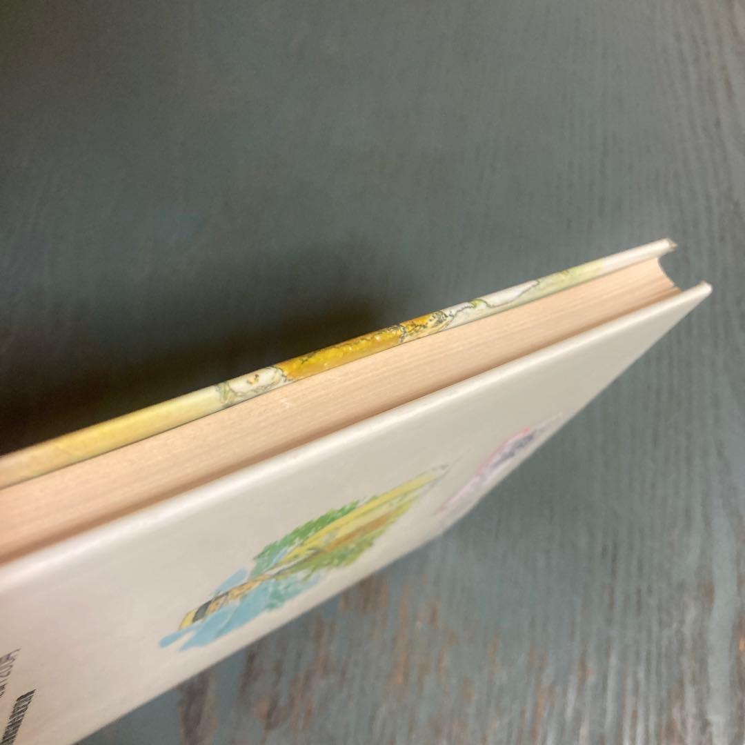 医者ザムライとそのまご (文研じゅべにーる) 赤座 憲久 (著) 岩淵 慶造