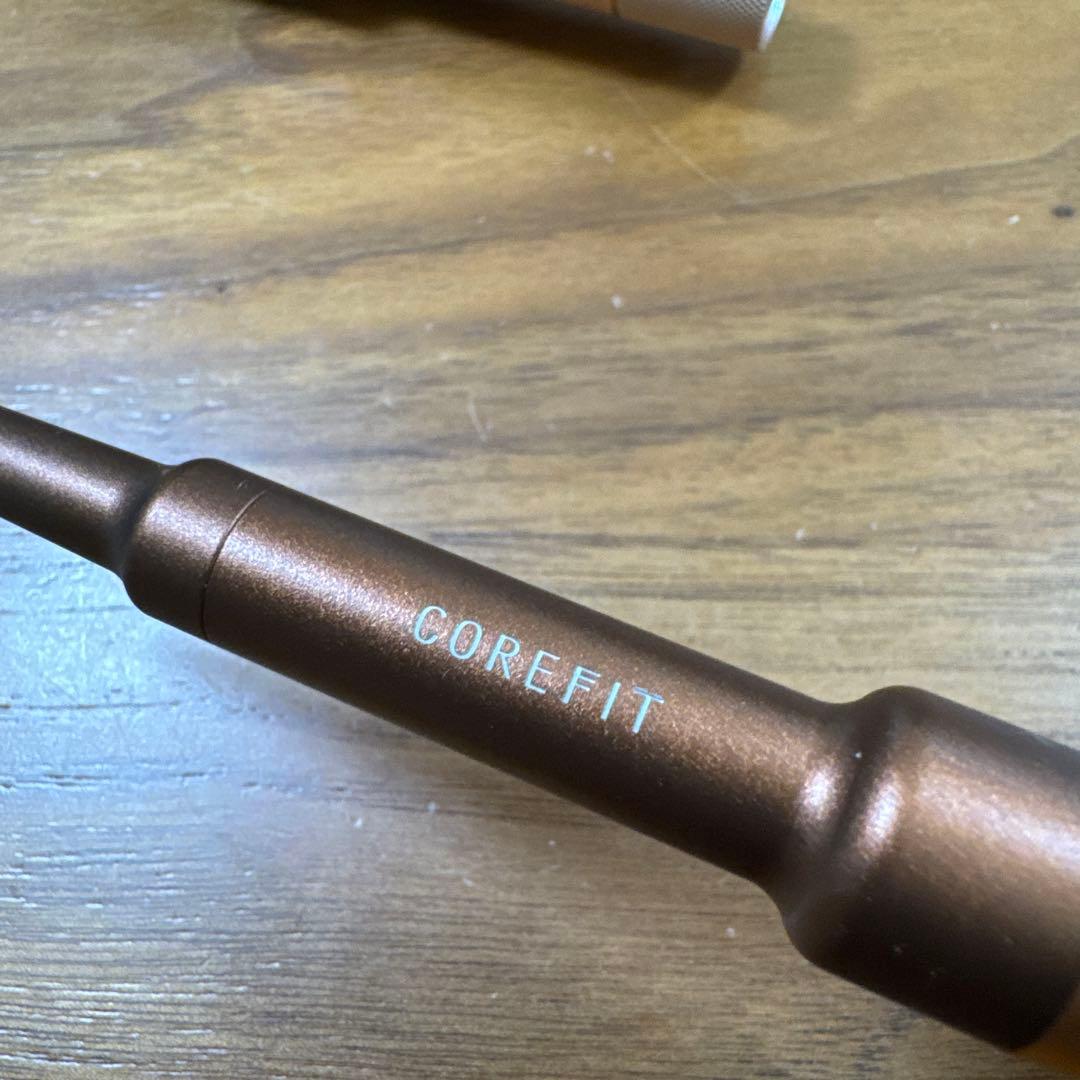 【美品】フェイスポインター　バスコンボ　COREFIT