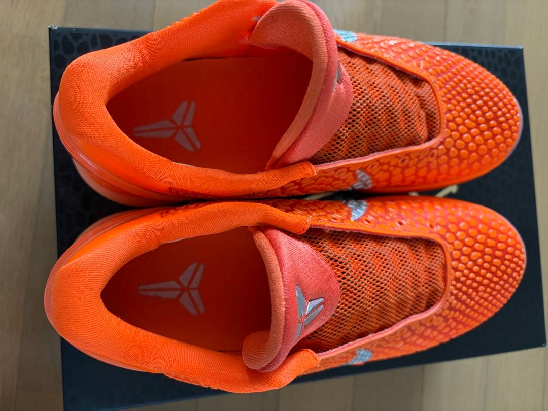 コービー6 プロトロ