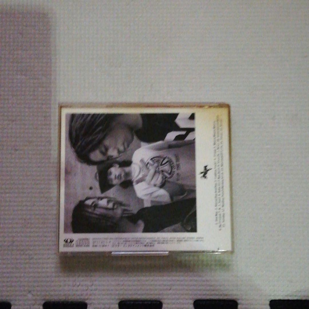 邦楽 Dragon Ash/Mustang!