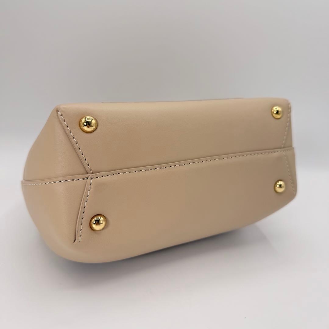 【美品】ポレーヌ ヌメロアン ナノ ミニバッグ 保存袋付