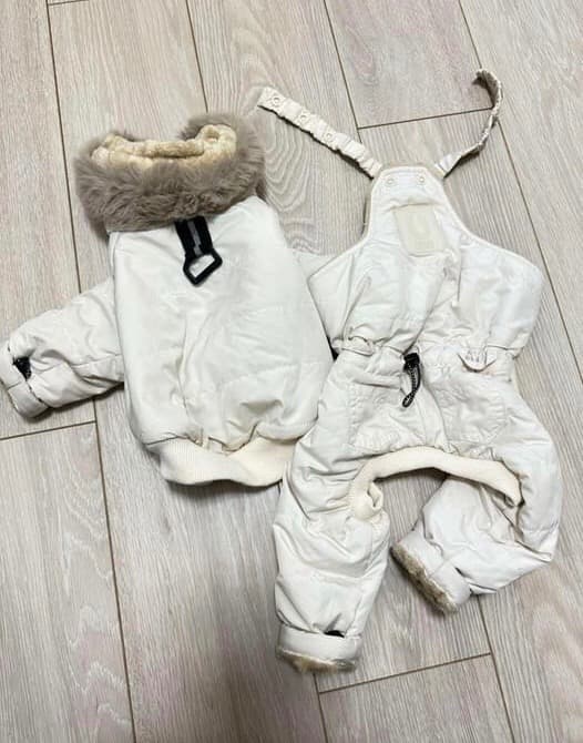 USHH イタグレスノースーツ