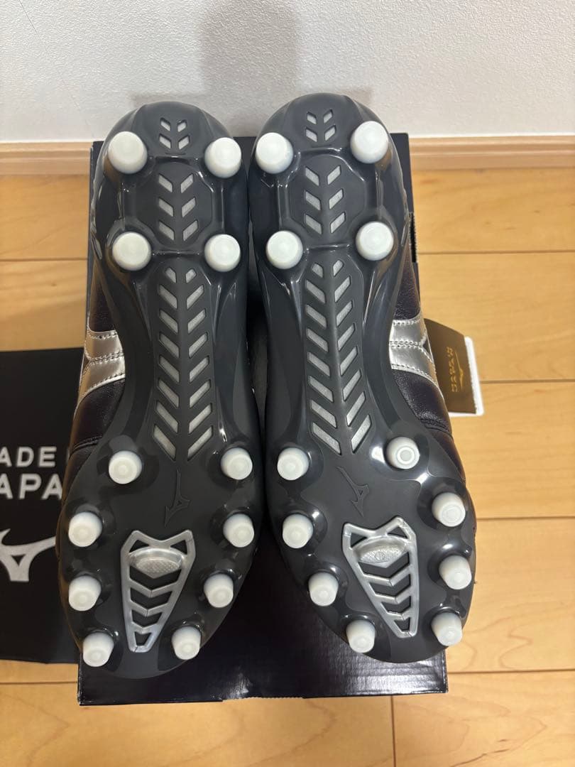 モレリア DNA japan