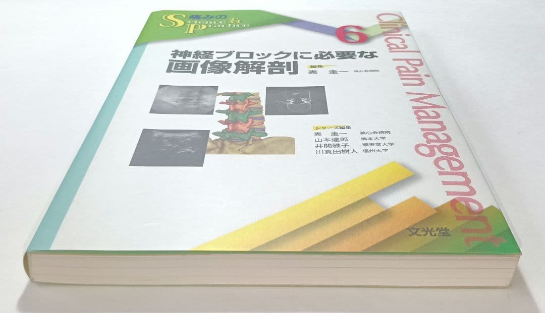 神経ブロックに必要な画像解剖