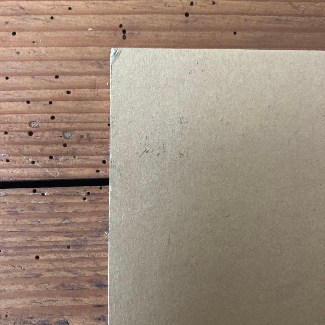 初版ELIZABETH PEYTON/LIVE FOREVER