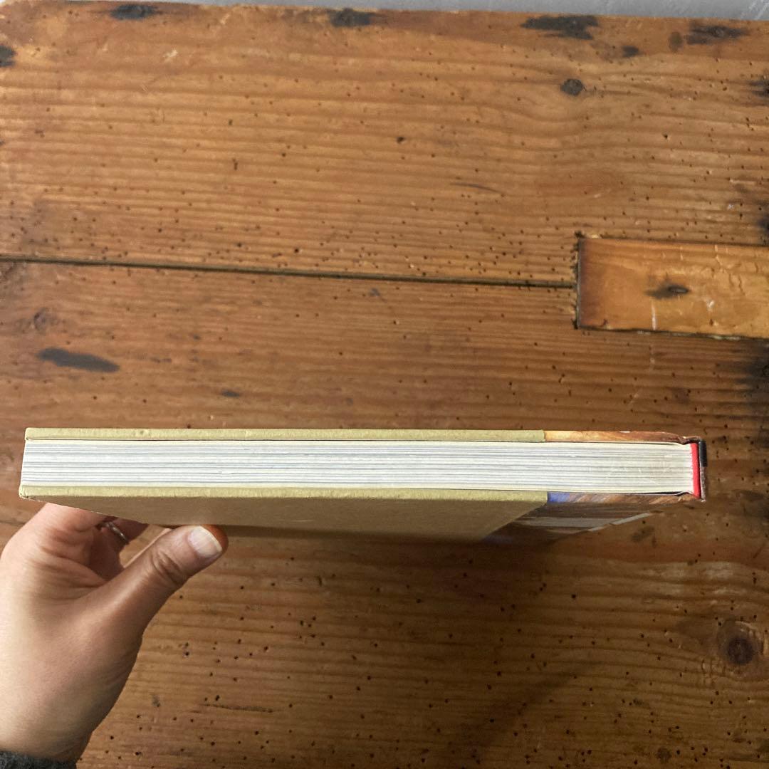 初版ELIZABETH PEYTON/LIVE FOREVER