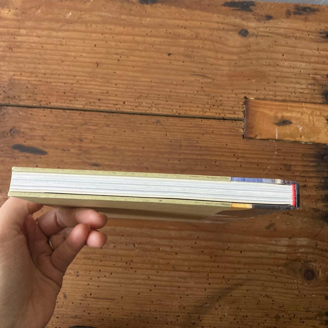 初版ELIZABETH PEYTON/LIVE FOREVER