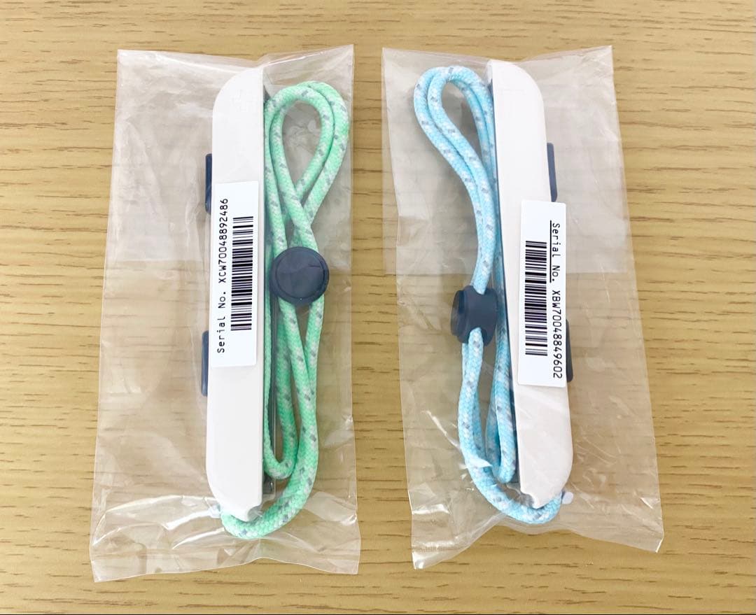 Nintendo Switch あつまれ どうぶつの森セット 任天堂 スイッチ