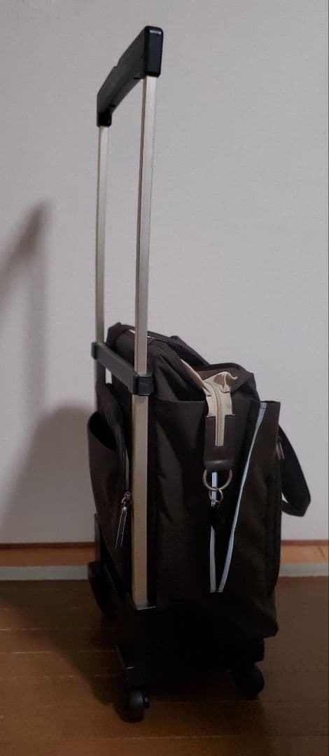 SWANY　スワニー　キャリーバッグ